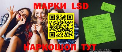 стафф Берёзовский