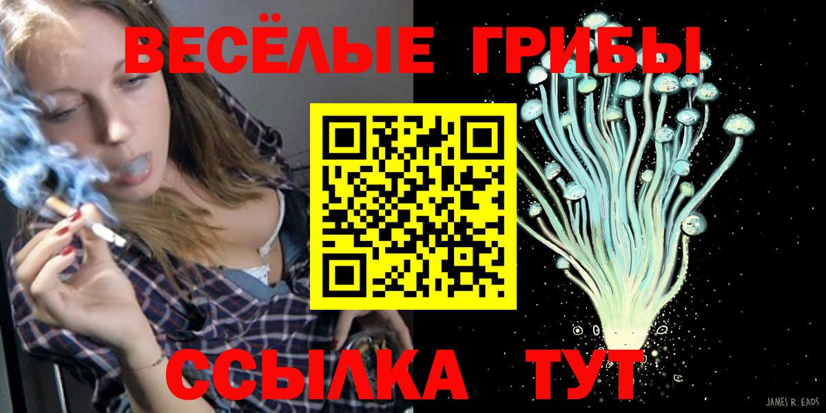 Галлюциногенные грибы Psilocybine cubensis Камень-на-Оби